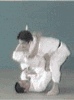 抱上