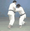 踵返