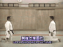 腕挫膝固