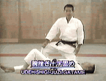 腕挫十字固