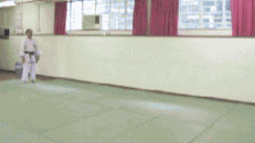前轉護身